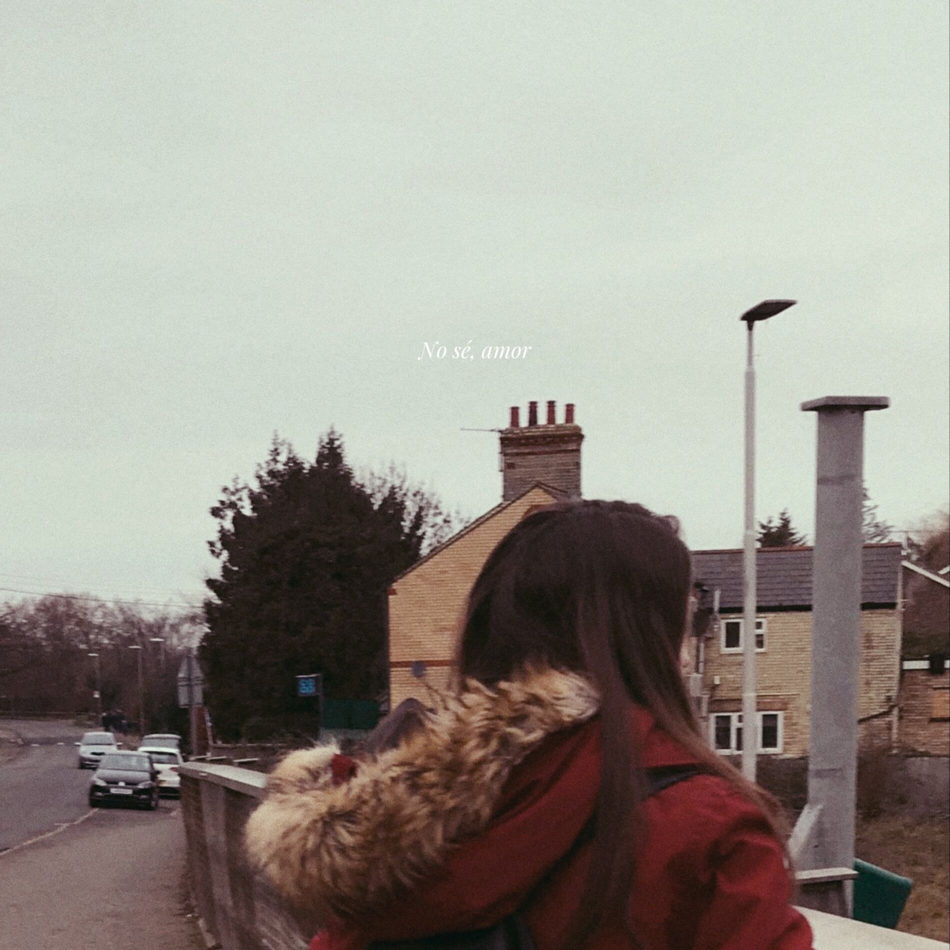 Album cover of Matico y Abejas