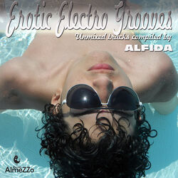 Cover of Erotic Electro Grooves (Unmixed Tracks Compiled By Alfida)