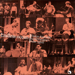 Cover of Endless Ocean