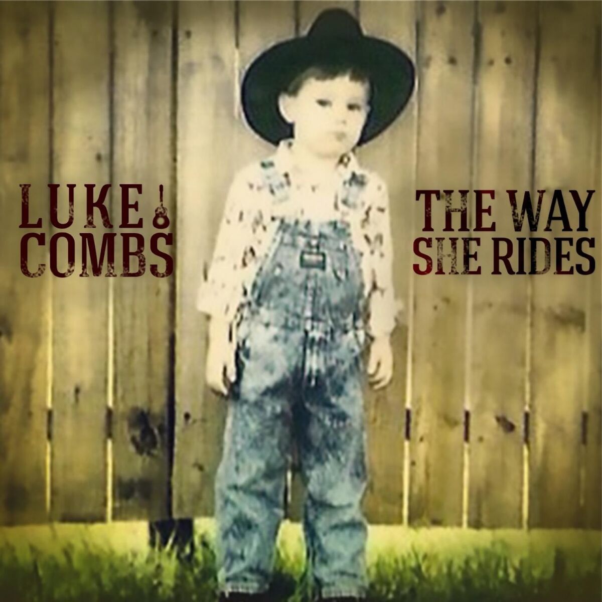 Album cover of Let the Moonshine