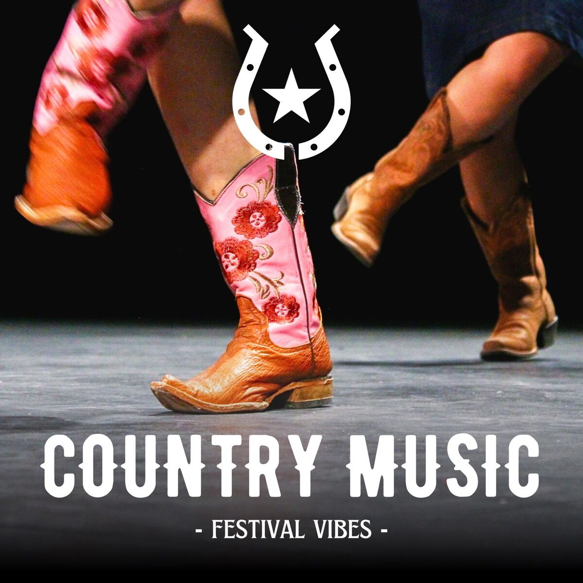 Album cover of Country Music Festival Vibes