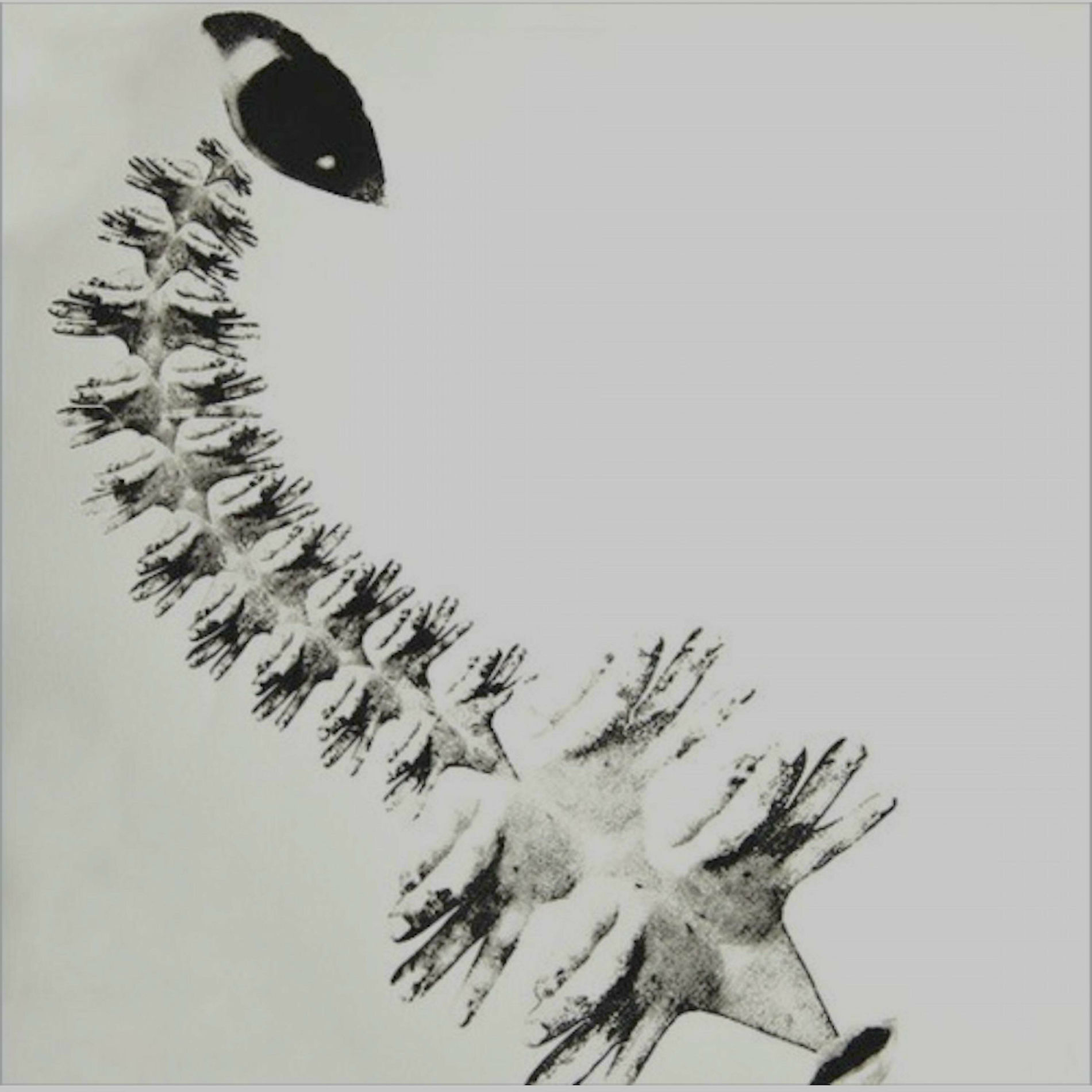 Album cover of Black Sea