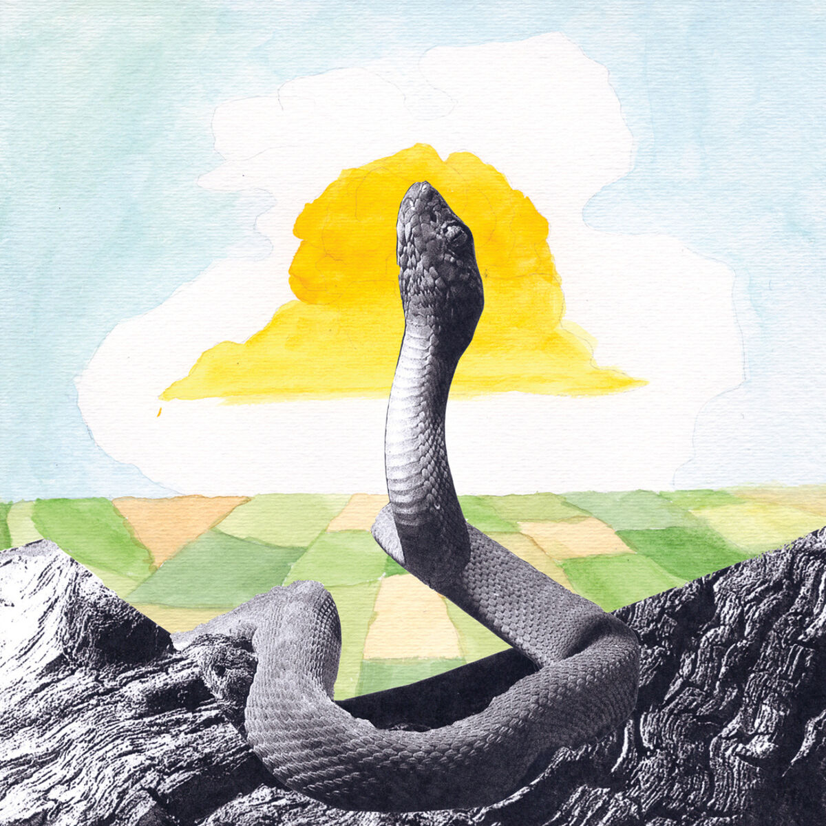 Album cover of Size Meets the Sound