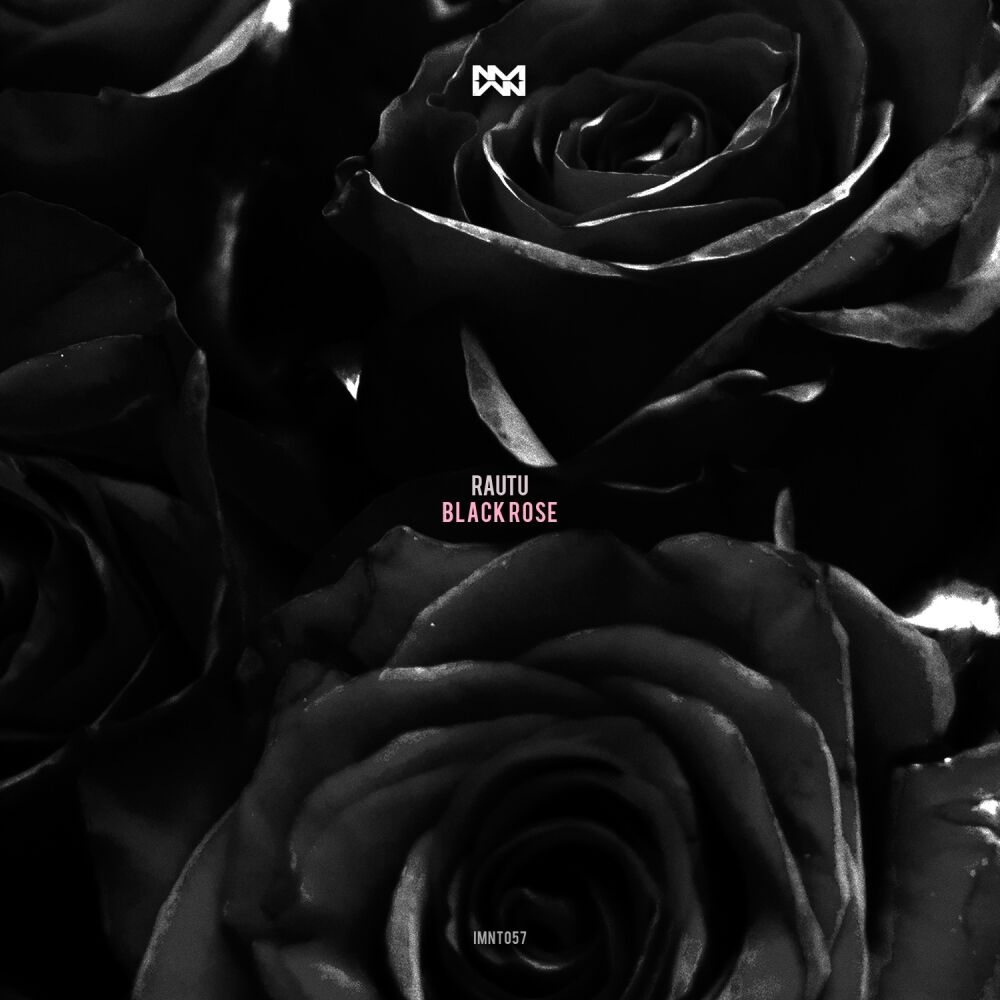 Picture of Black Rose