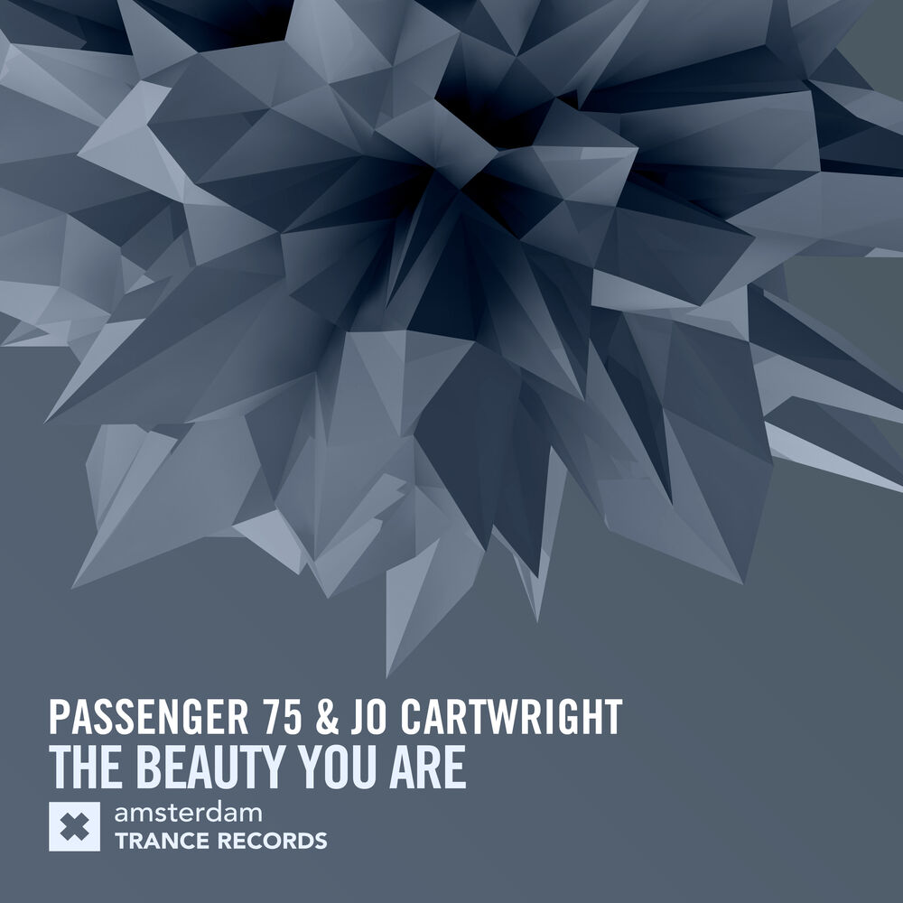 Picture of The Beauty You Are