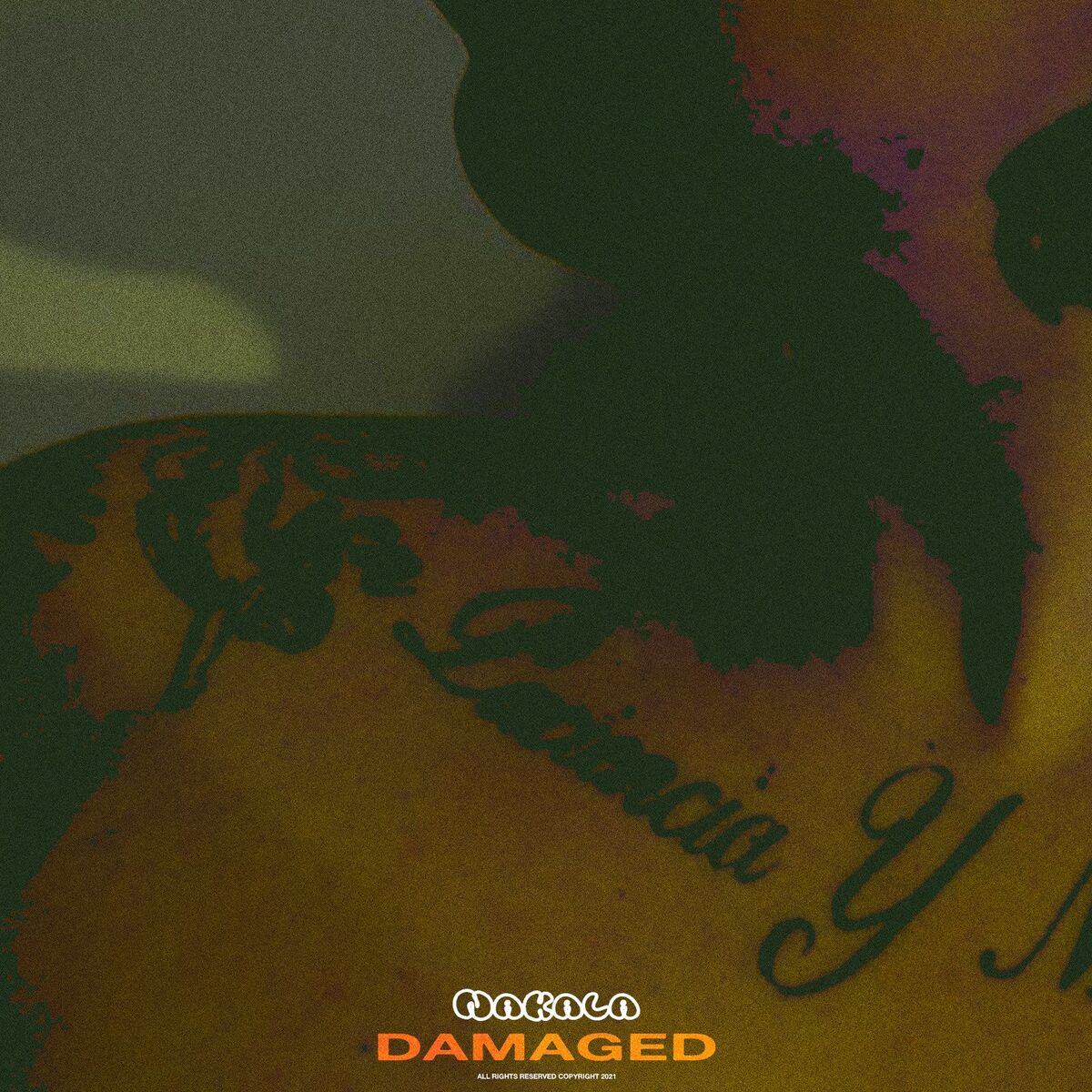 Album cover of Damaged