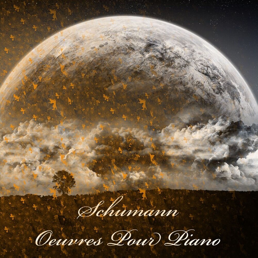 Picture of Schumann: Oeuvres pour piano