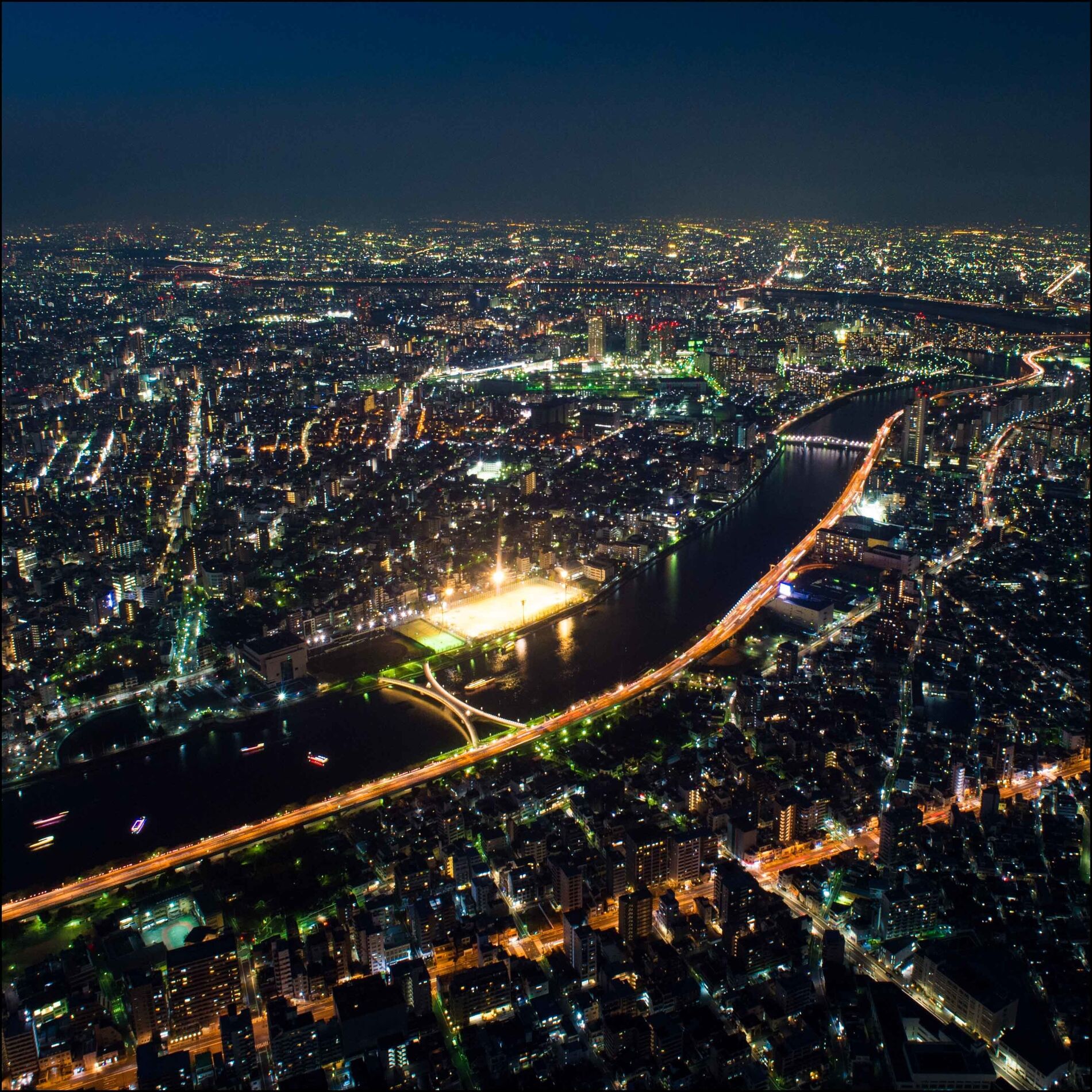 Album cover of Rooftop Rainforest Tranquility