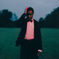 Cover of Love Is A Trap