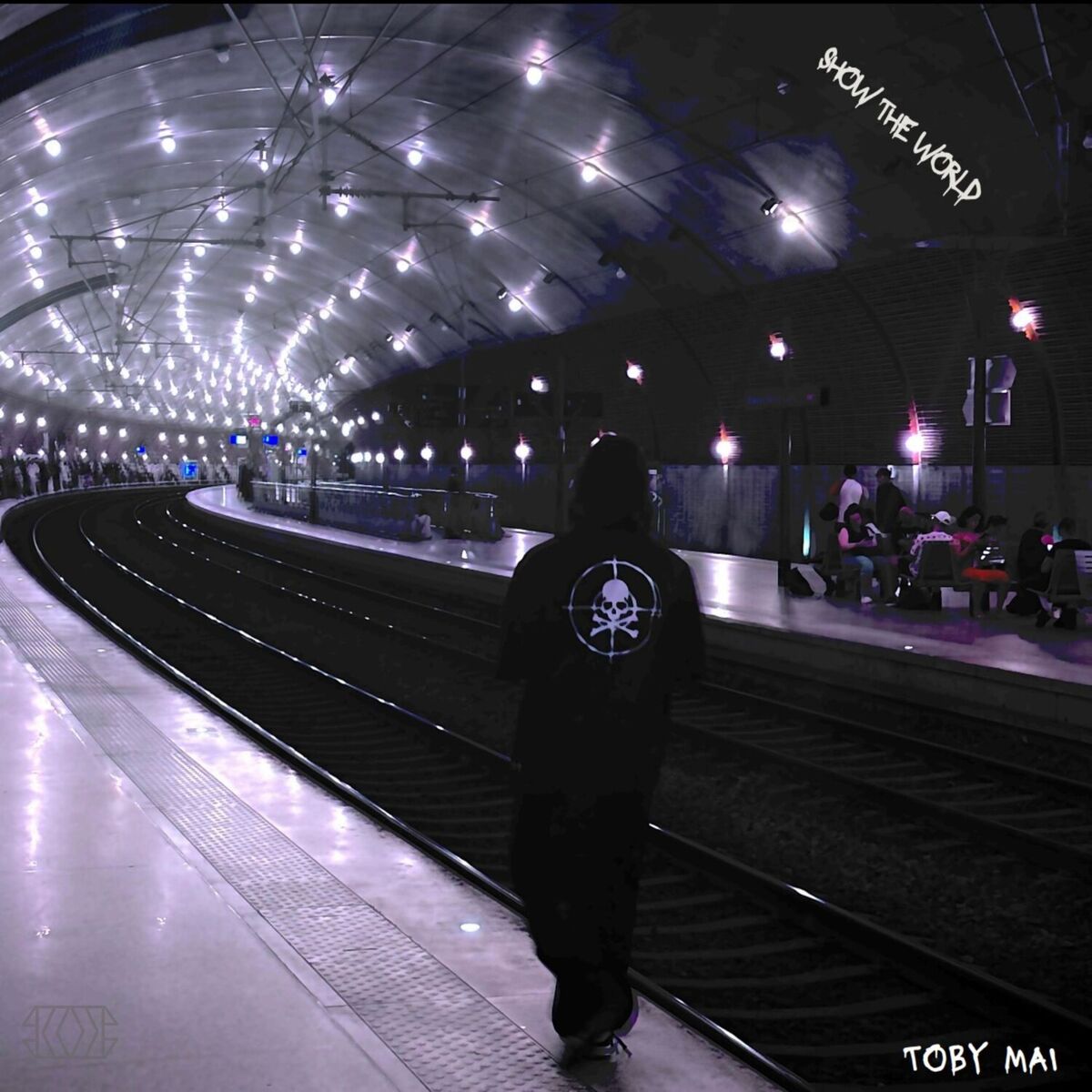 Album cover of Show the World