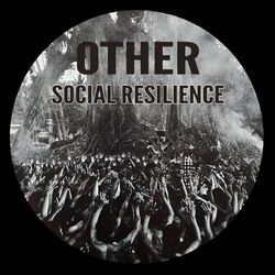 Cover of Social Resilience
