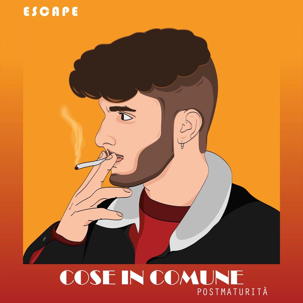 Picture of Cose In Comune (Postmaturità)