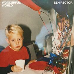 Cover of Wonderful World