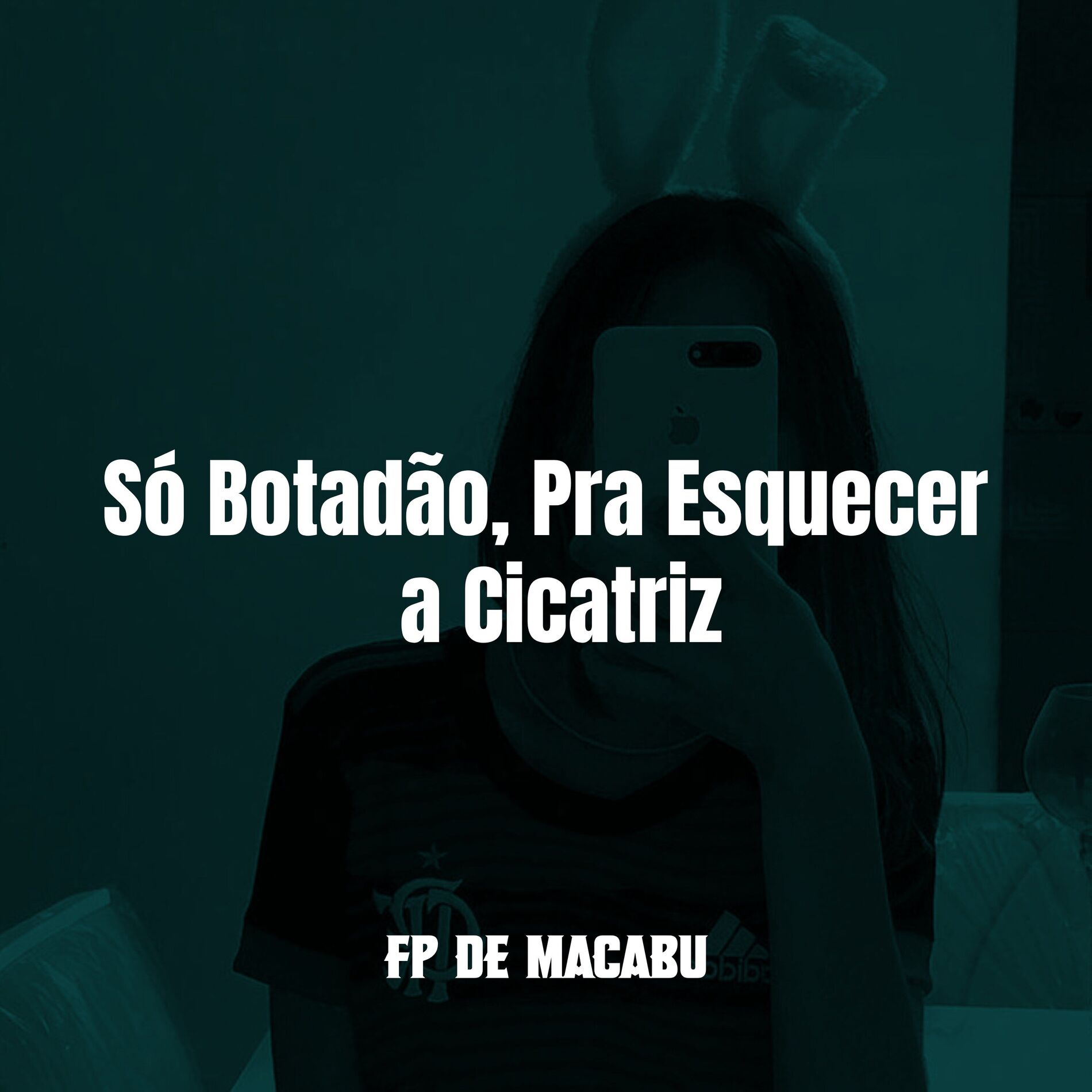 Album cover of Só Botadão, pra Esquecer a Cicatriz