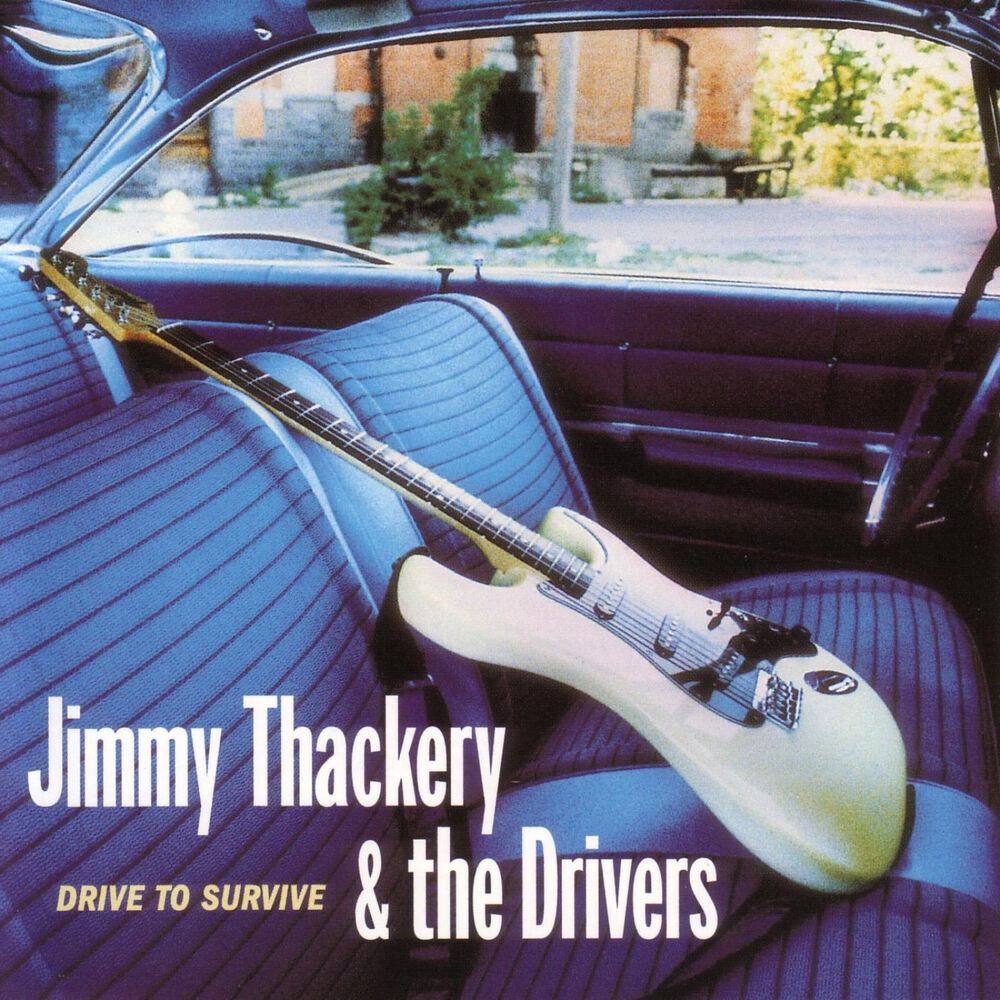 Picture of Drive To Survive