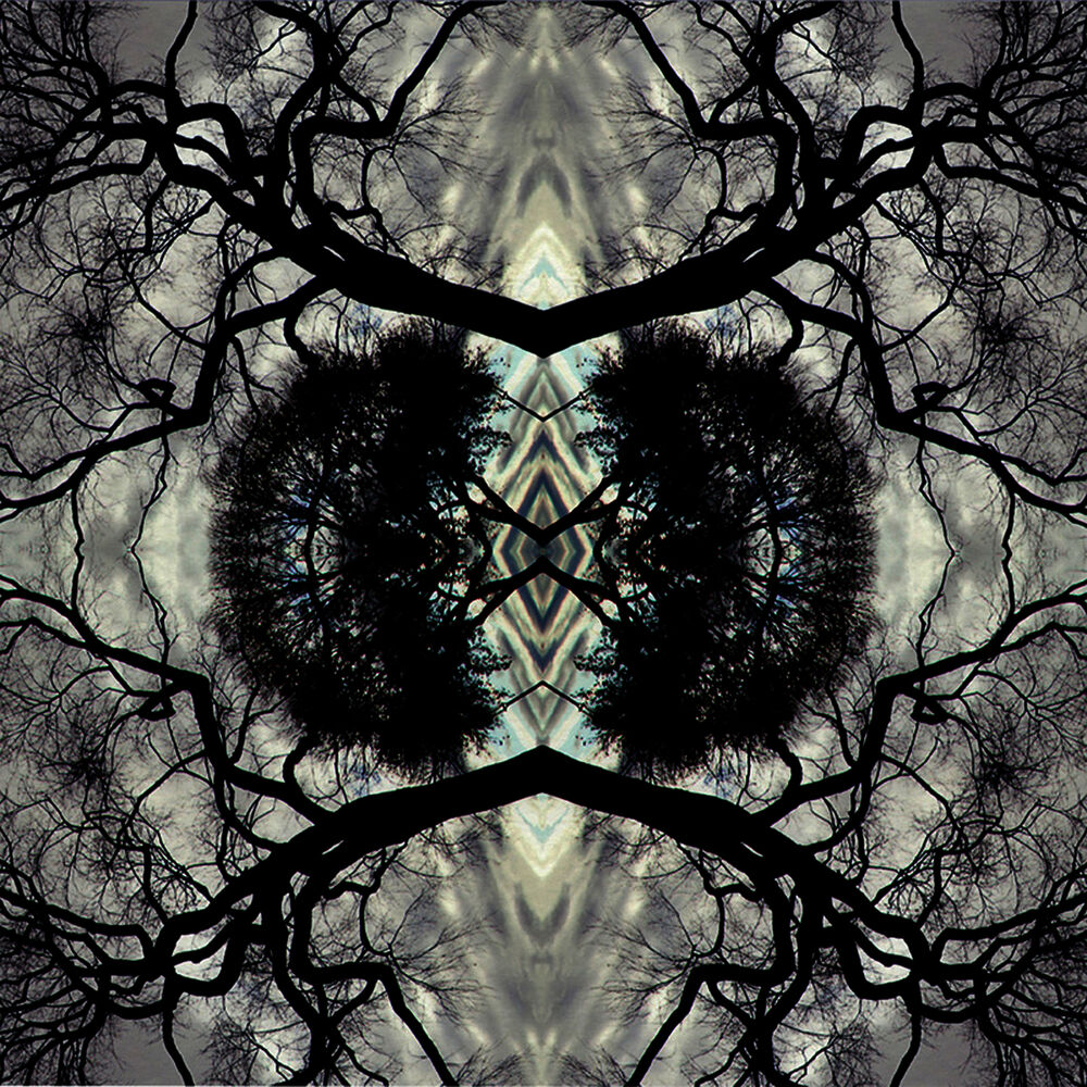 Picture of Sonic Mandala