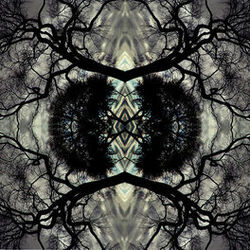Cover of Sonic Mandala