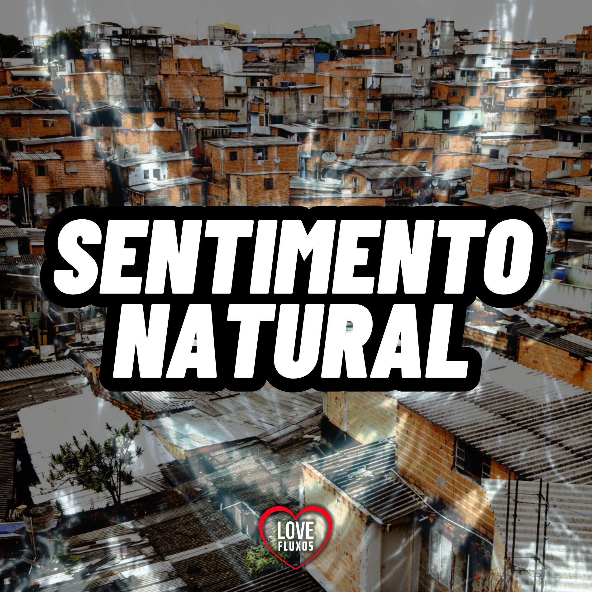 Album cover of Sentimento Natural
