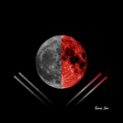 Cover of Paralel