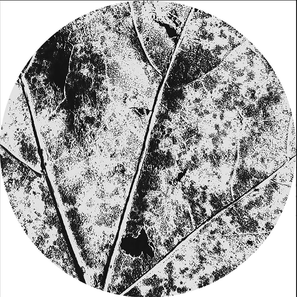 Picture of Nysiads