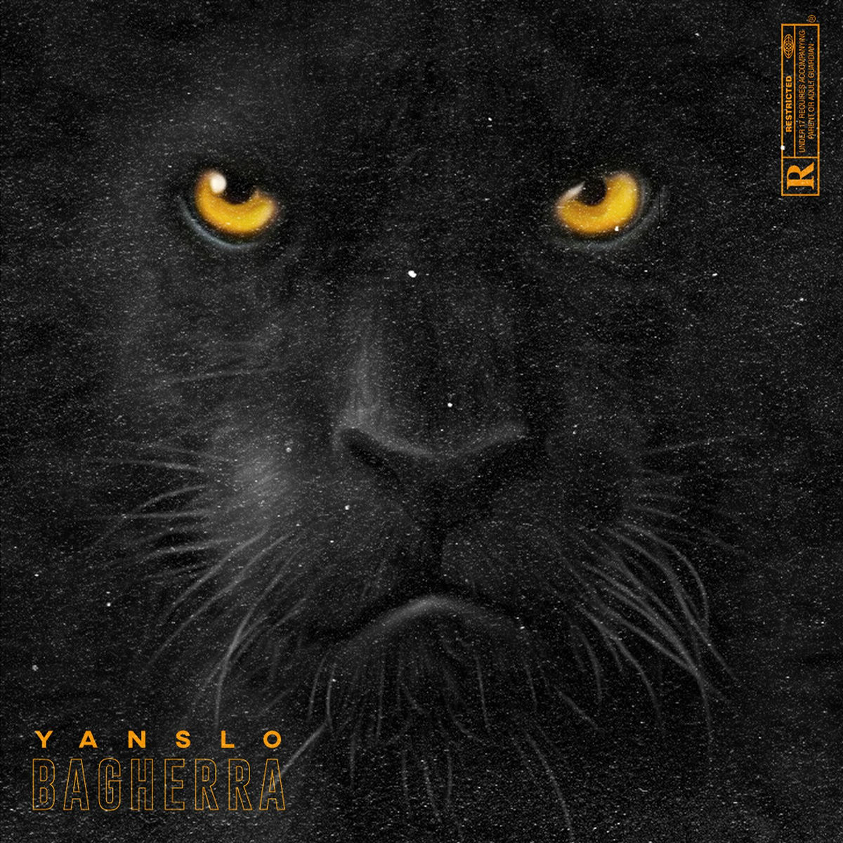 Album cover of Bagherra