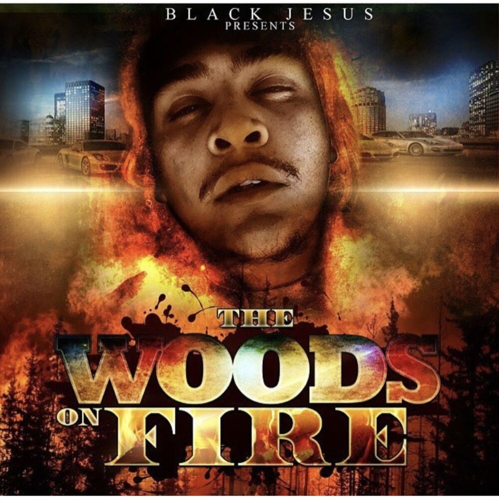 Picture of The Woods On Fire