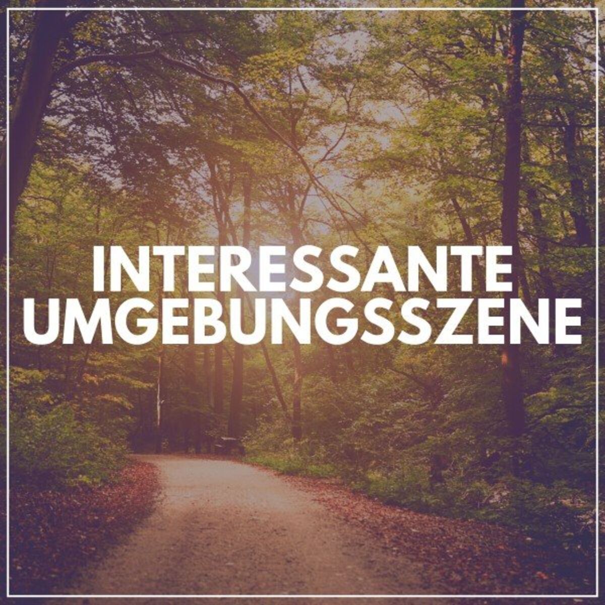 Album cover of Interessante Umgebungsszene