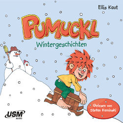 Cover of Pumuckl - Wintergeschichten (ungekürzt)