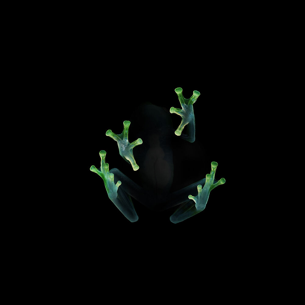 Picture of Turn Off The Lights