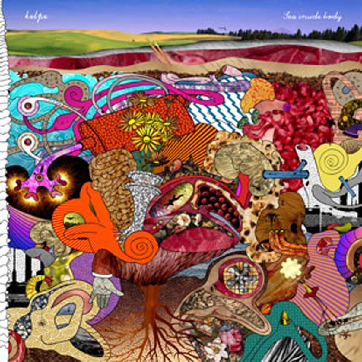 Album cover of Sea Inside Body