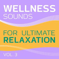 Cover of Wellness (Sounds for Ultimate Relaxation, Vol. 3)