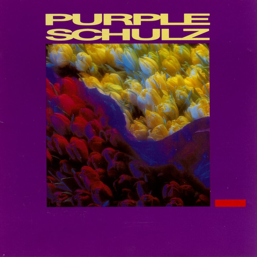 Picture of Purple Schulz