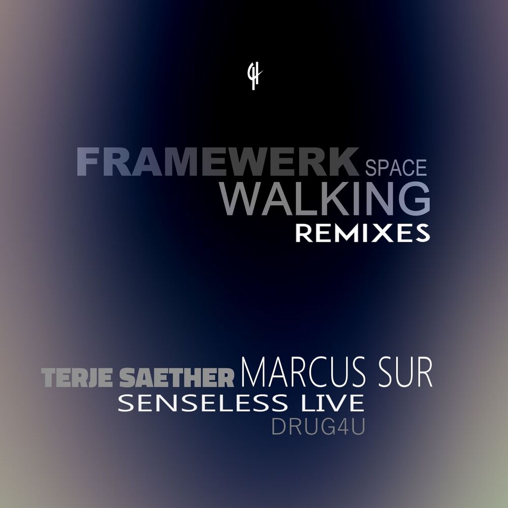 Picture of Space Walking (Remixes)