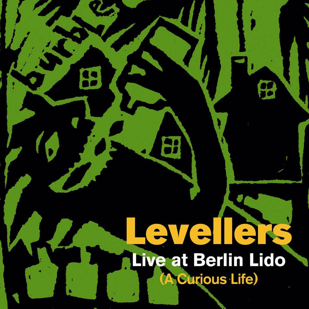 Picture of A Curious Life (Live At Berlin Lido)
