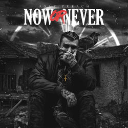 Cover of Now or Never