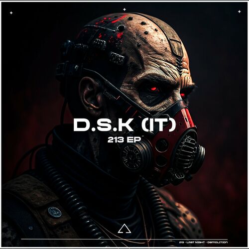 D.S.K (IT) - 213 (2025)