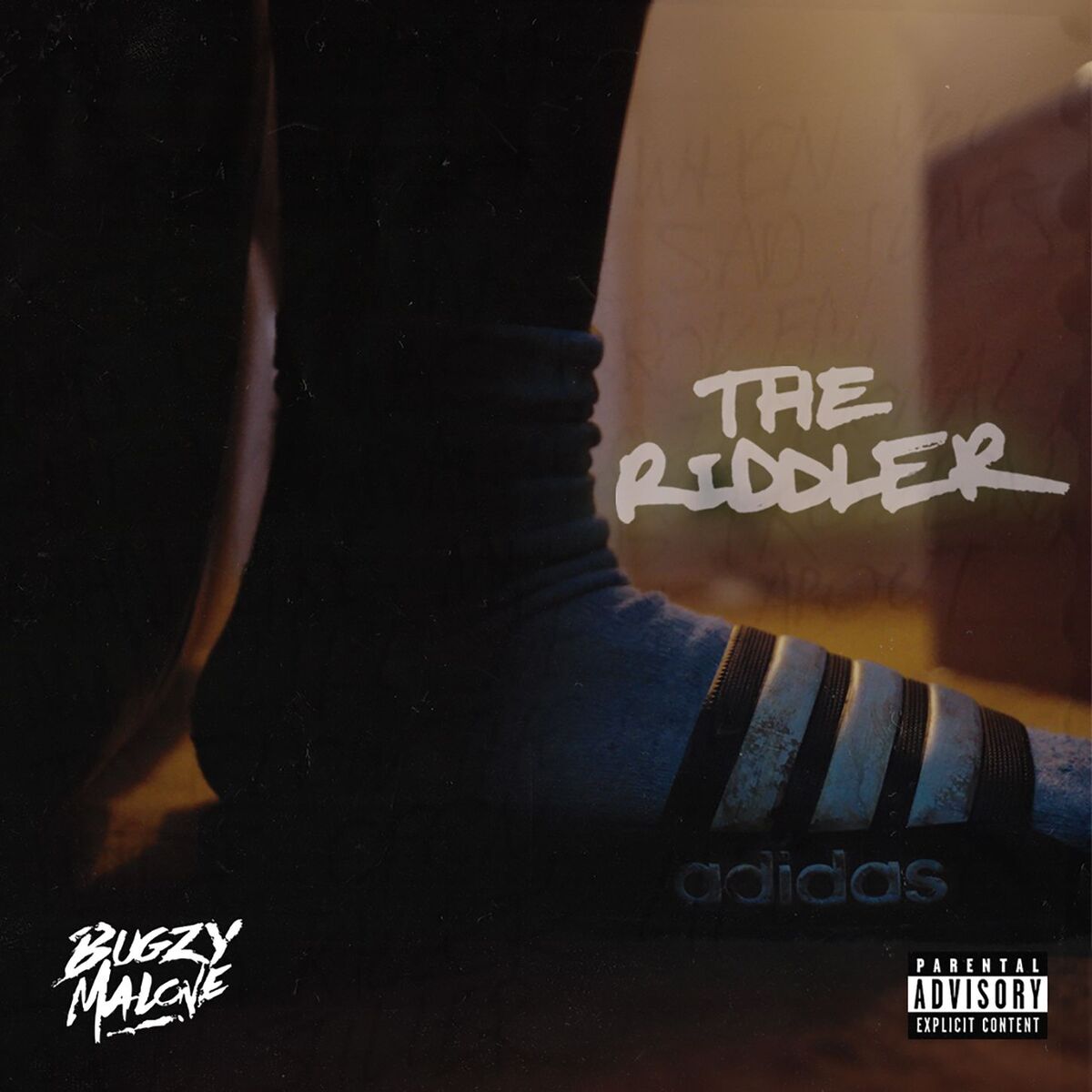 Album cover of The Riddler