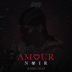 Cover of Amour noir