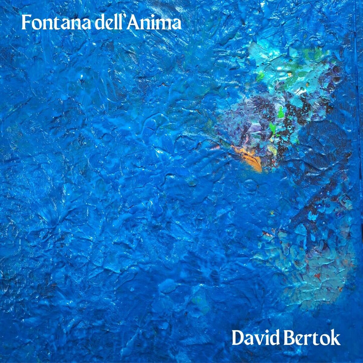 Album cover of Fontana dell'Anima