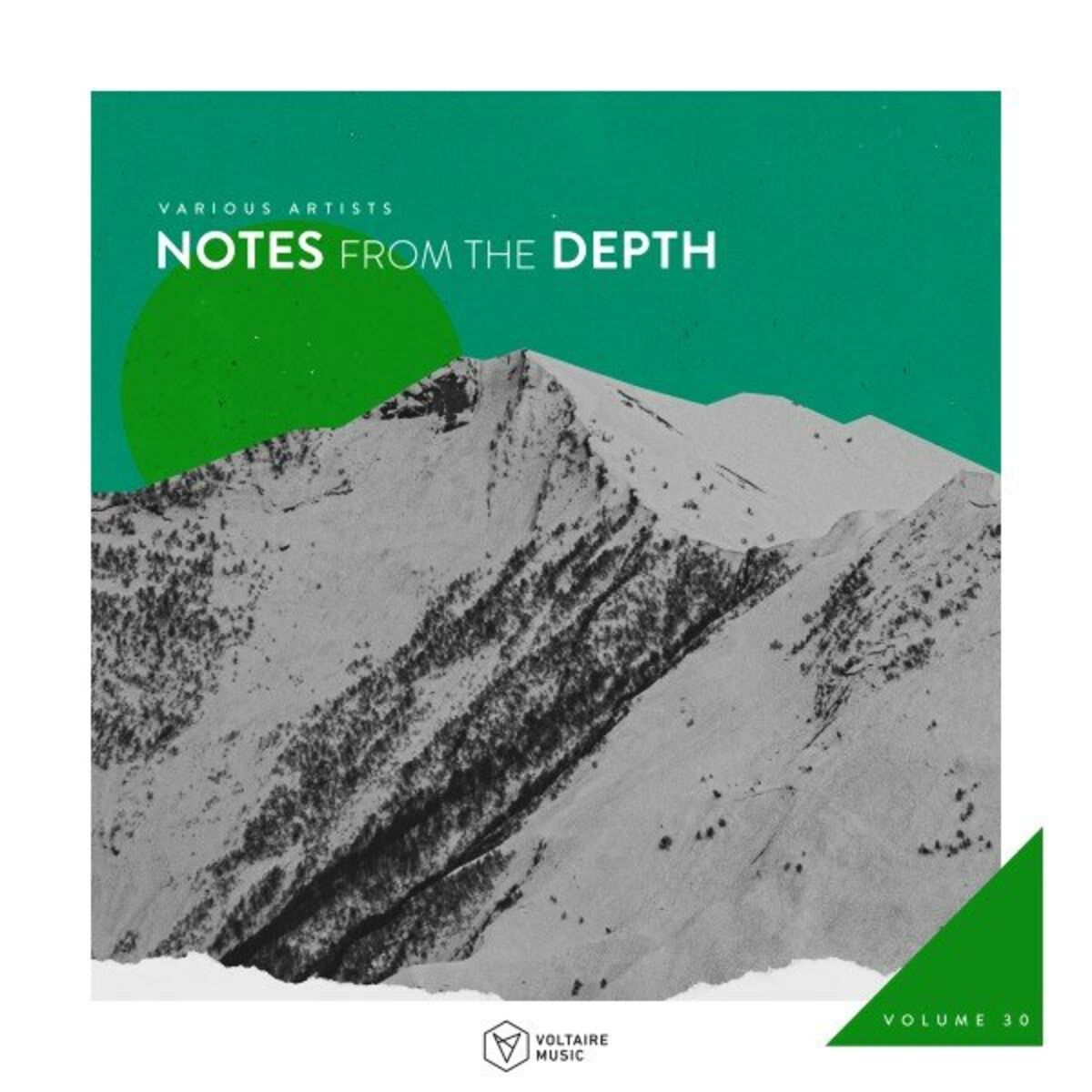 Album cover of Notes from the Depth, Vol. 30