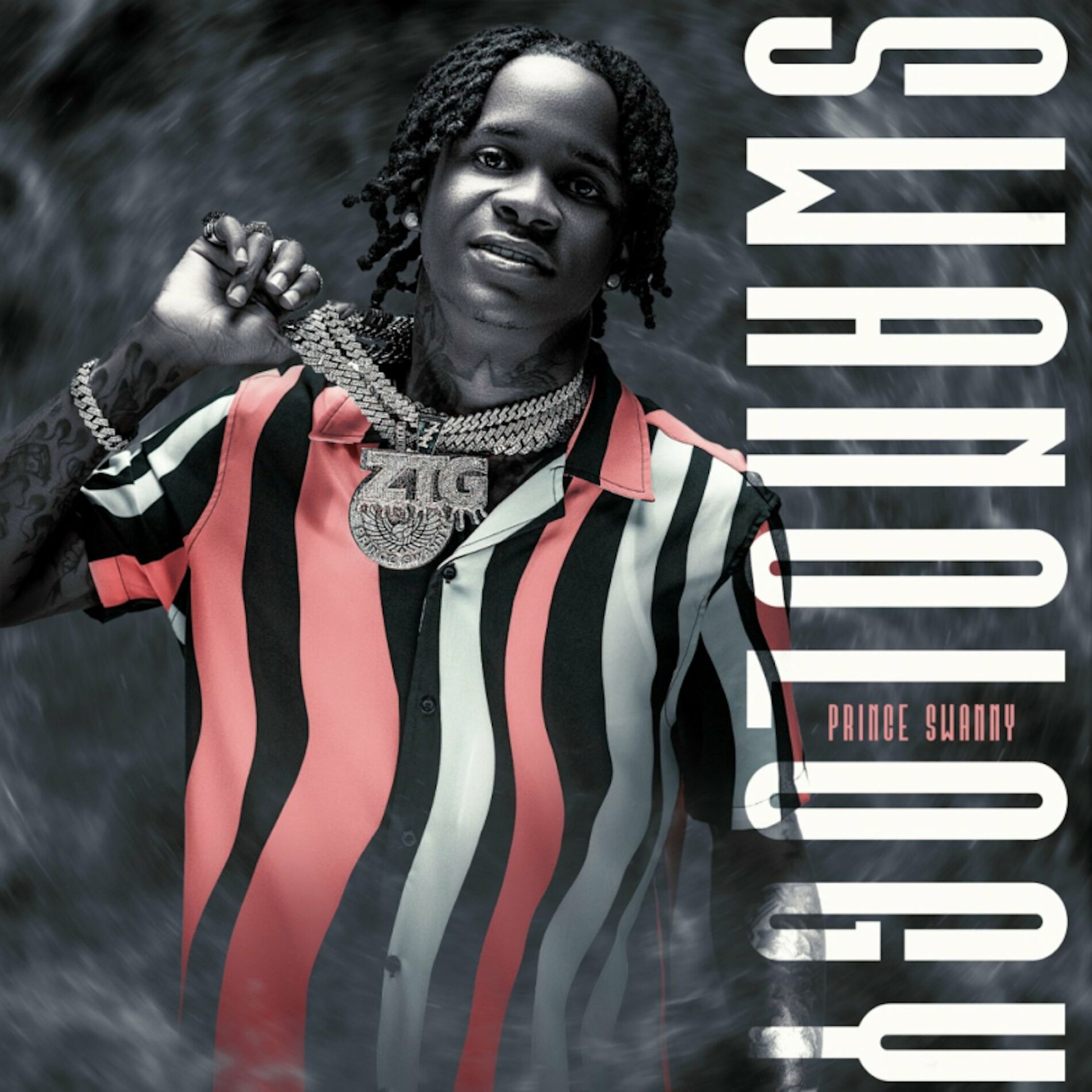 Album cover of Swanology