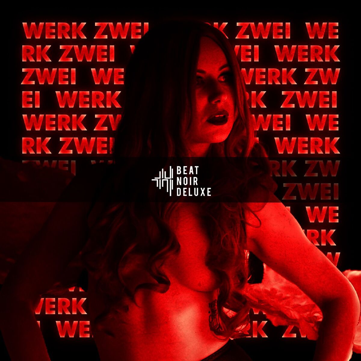 Album cover of Werk Zwei
