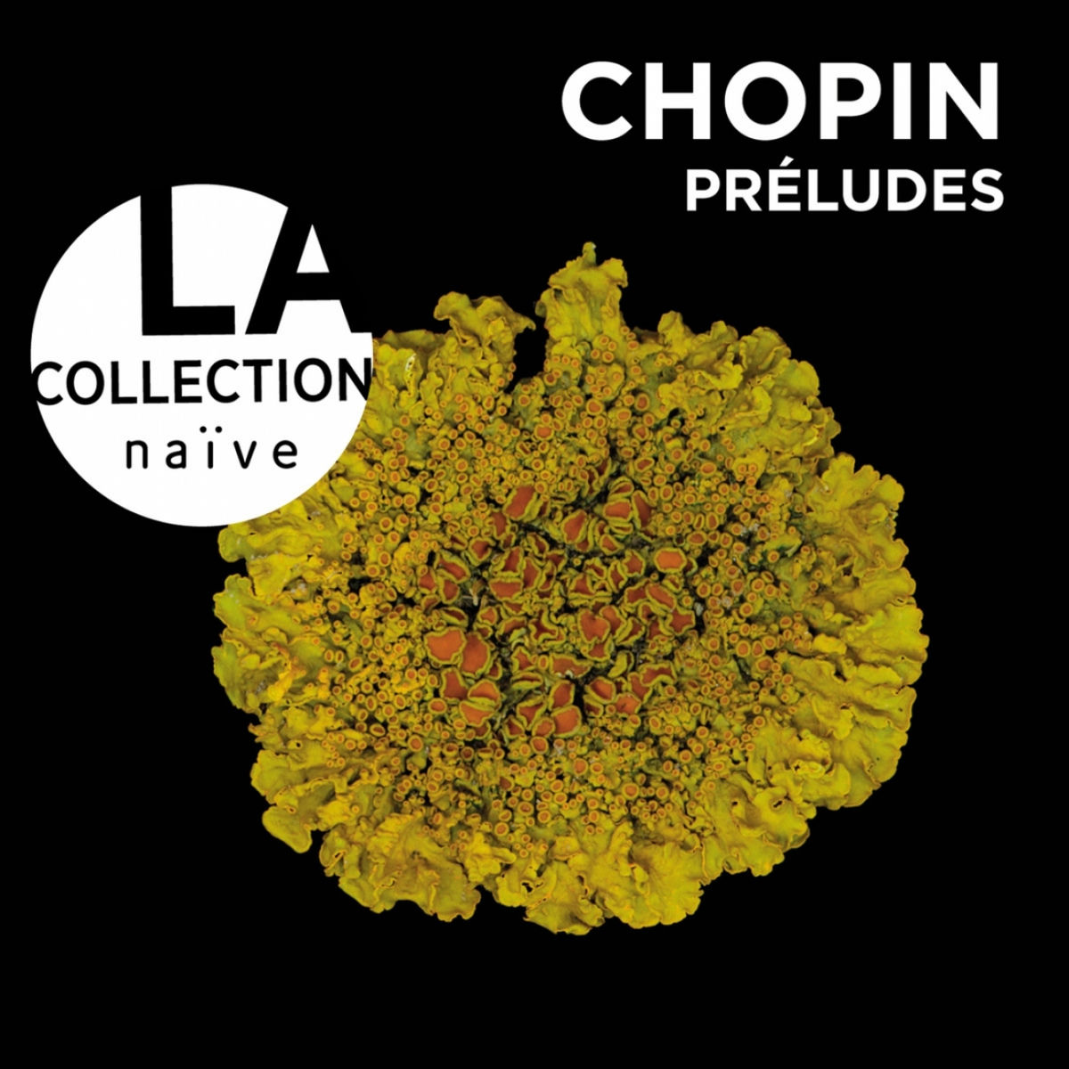 Album cover of Chopin: Préludes