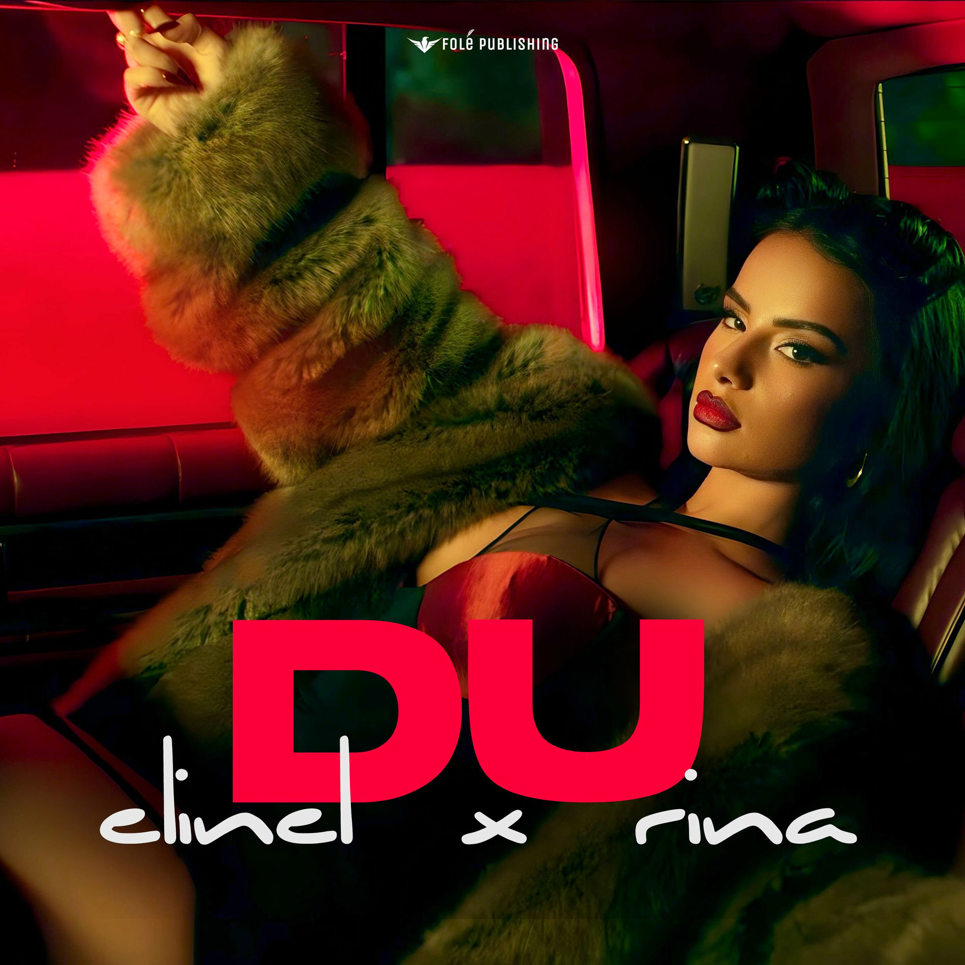 Album cover of DU