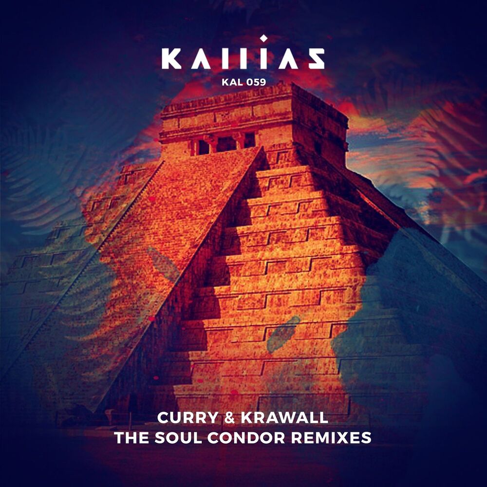 Picture of The Soul Condor (Remixes)