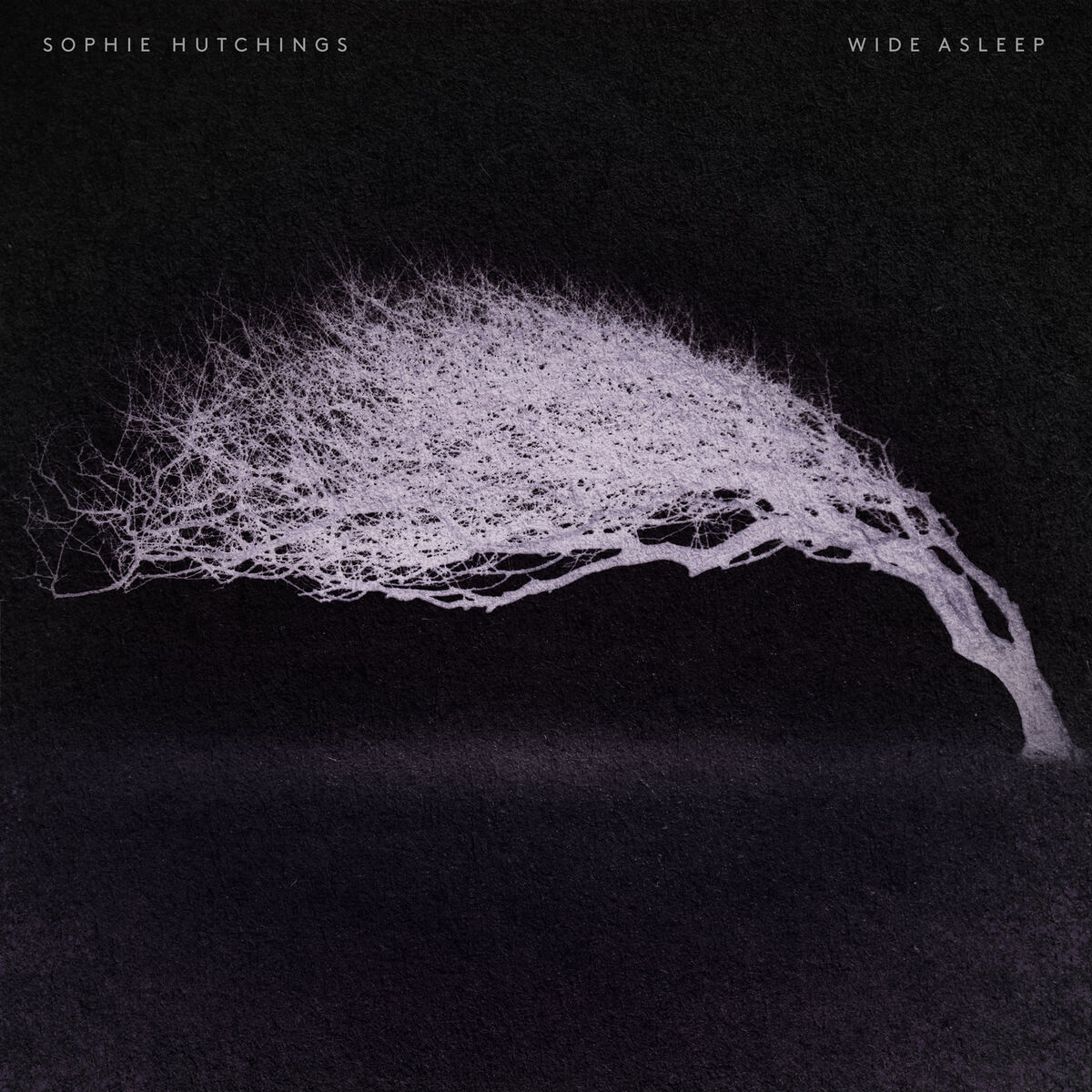 Album cover of Wide Asleep