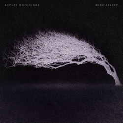 Cover of Wide Asleep