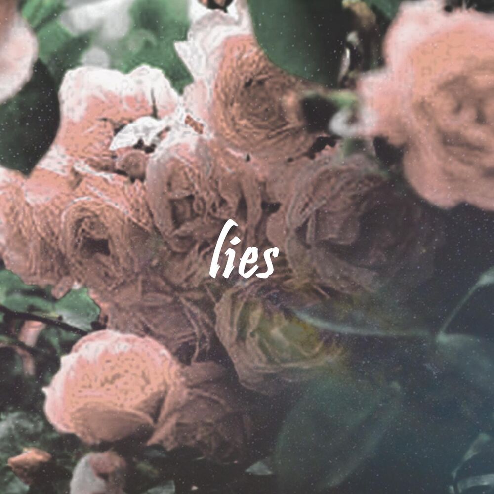 Picture of Lies
