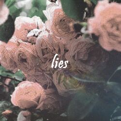 Cover of Lies