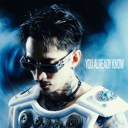 Cover of YOU ALREADY KNOW